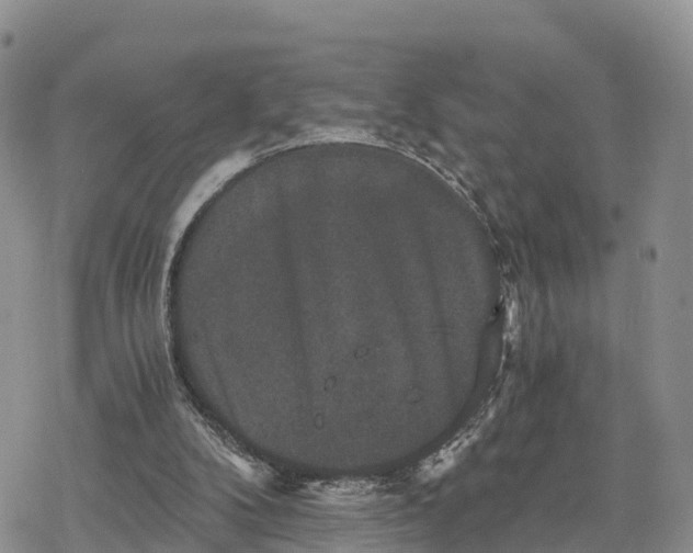 X0000078280104200611251428