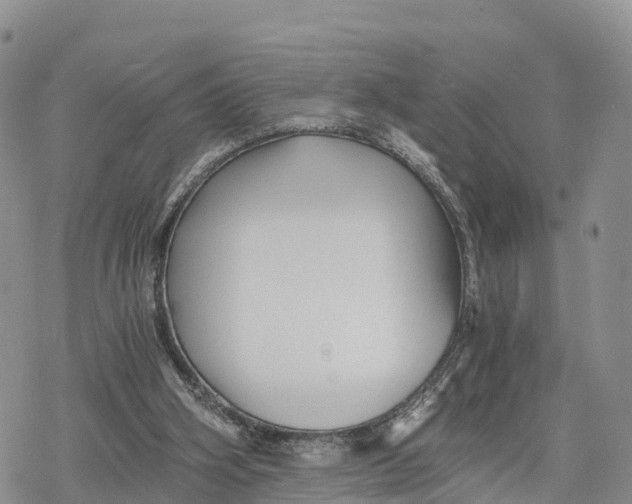 X0000078280106200611251428