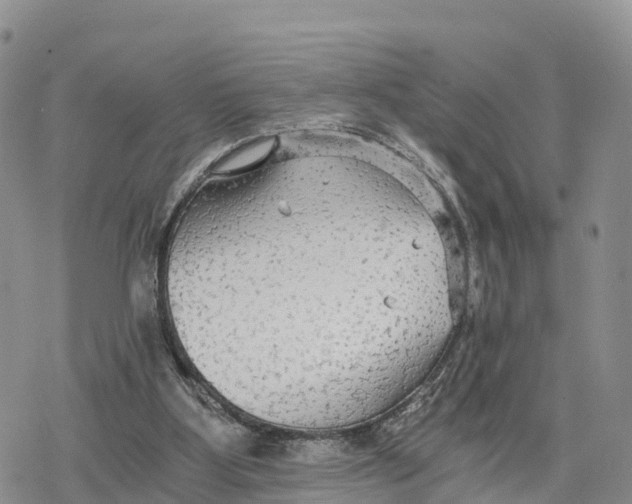 X0000078280107200611251428