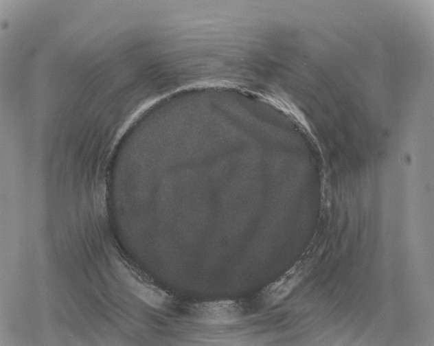 X0000078280108200611251428