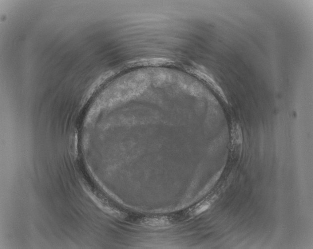 X0000078280110200611251428