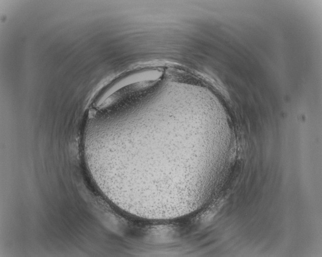 X0000078280111200611251428