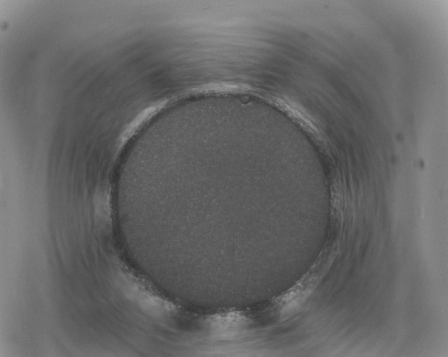 X0000078280112200611251428