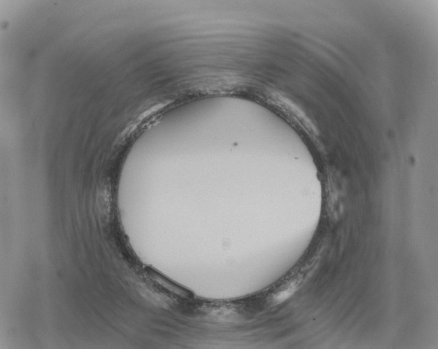 X0000078280113200611251428