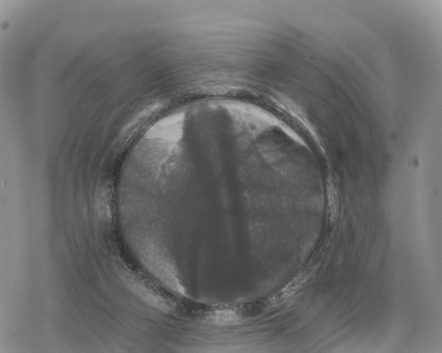 X0000078280114200611251428