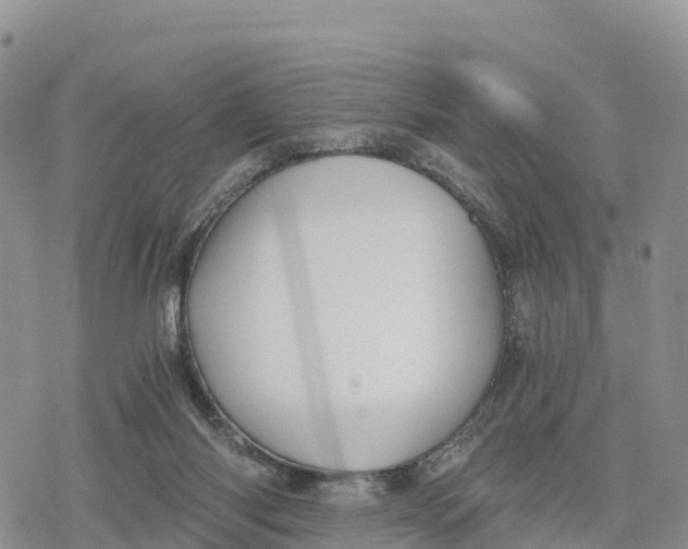 X0000078280118200611251428