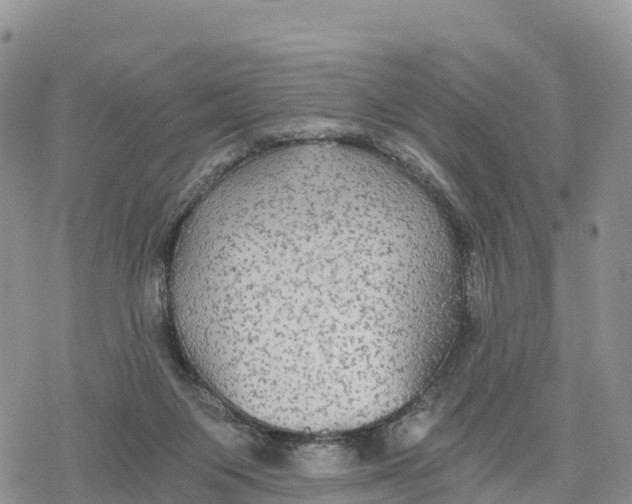 X0000078280119200611251428