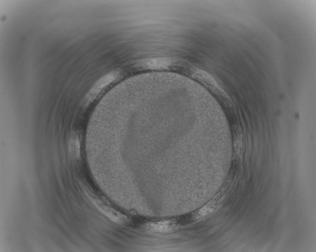 X0000078280120200611251428