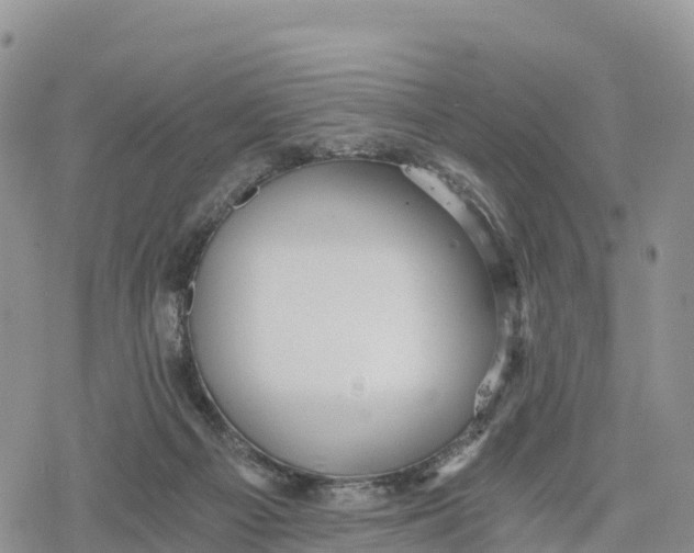 X0000078280121200611251428