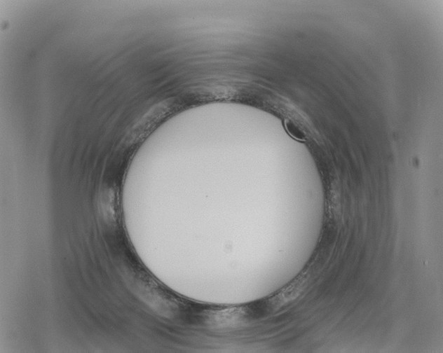 X0000078280122200611251428