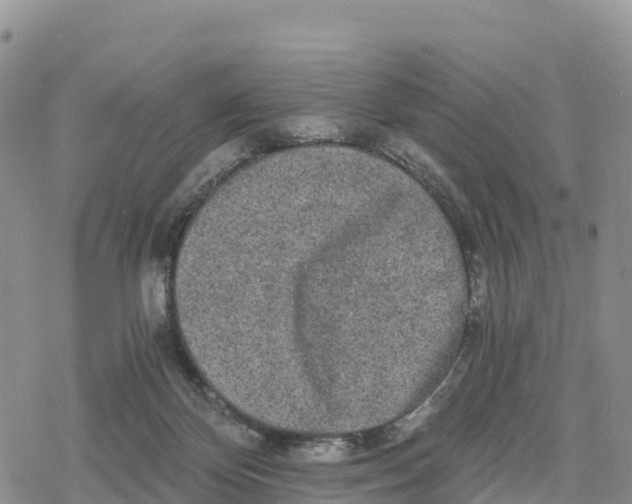 X0000078280124200611251428