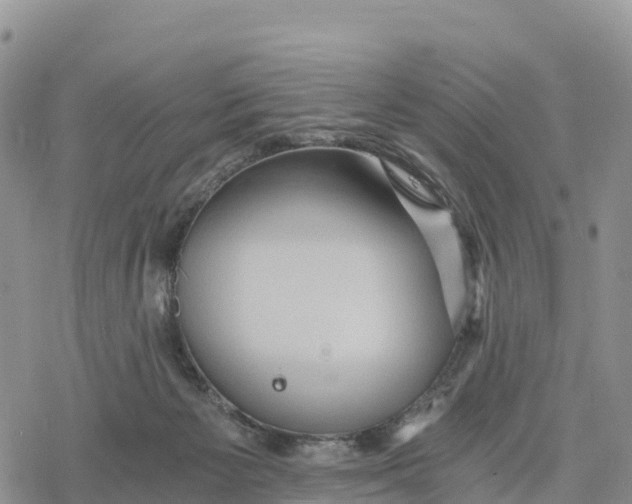 X0000078280125200611251428