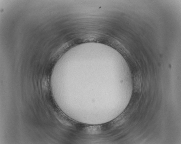 X0000078280126200611251428