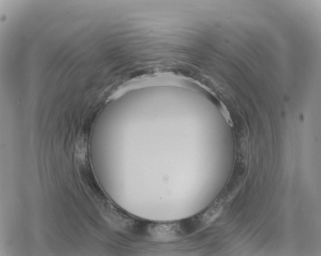 X0000078280129200611251428