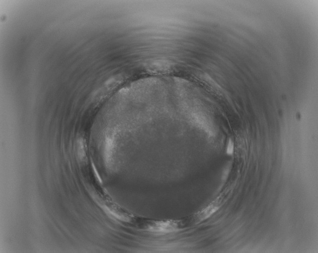 X0000078280130200611251428