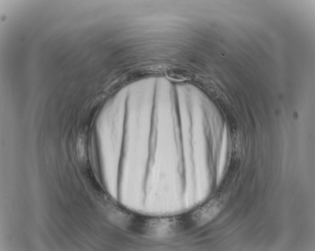 X0000078280131200611251428