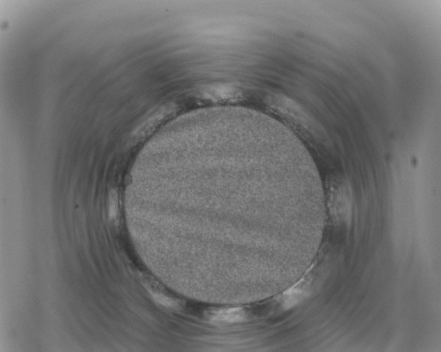 X0000078280132200611251428