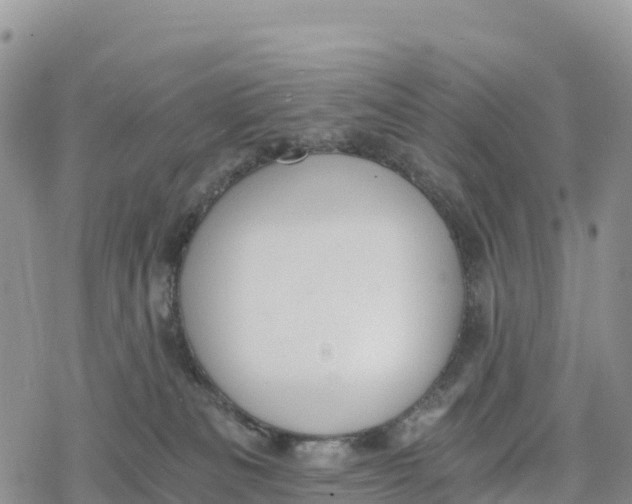 X0000078280133200611251428