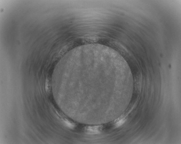 X0000078280134200611251428