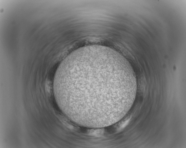 X0000078280135200611251427