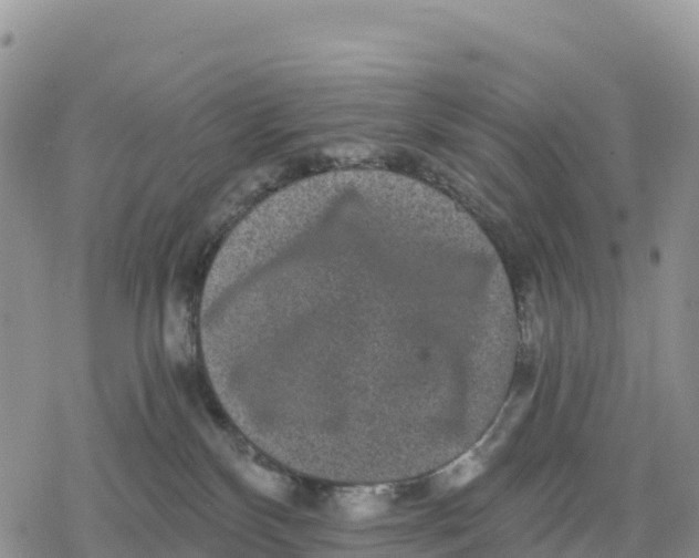 X0000078280136200611251427