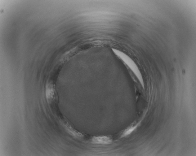 X0000078280137200611251427