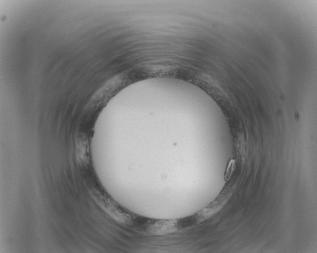 X0000078280138200611251427