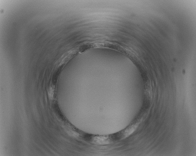 X0000078280139200611251427