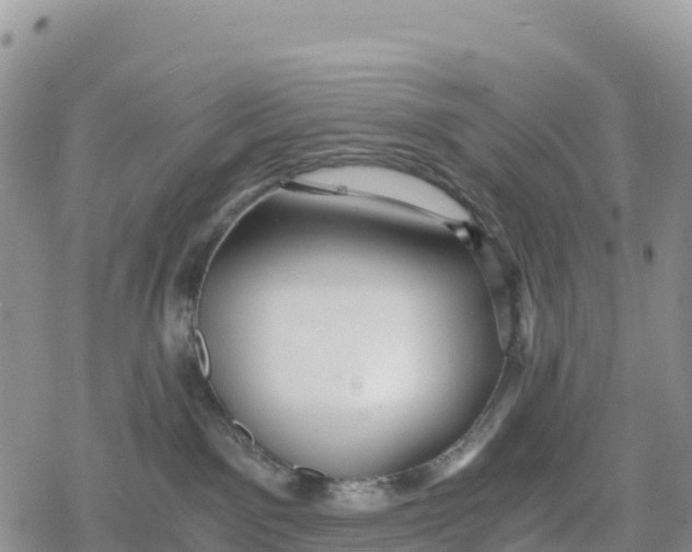 X0000078280141200611251427