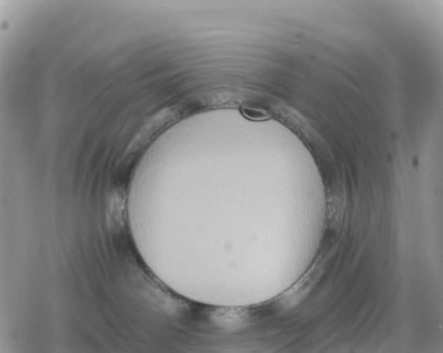 X0000078280142200611251427