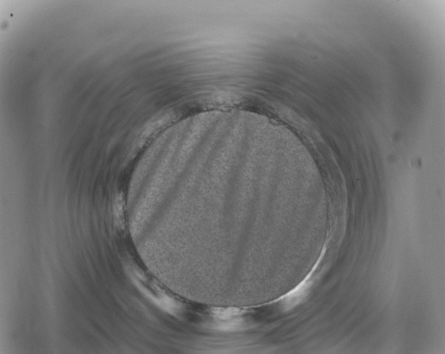 X0000078280144200611251427