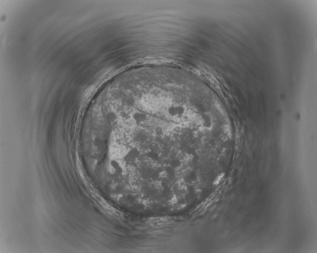 X0000078280145200611251427