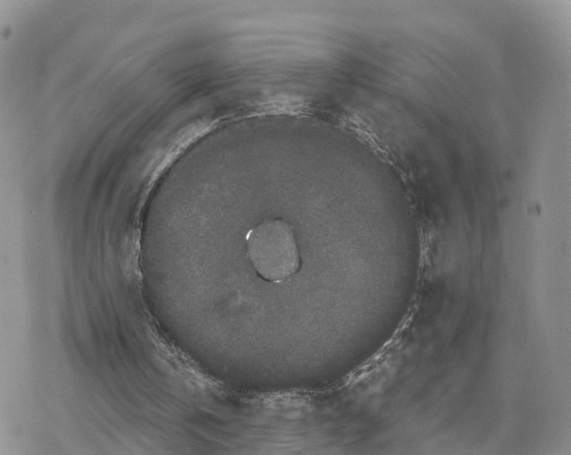 X0000078280146200611251427