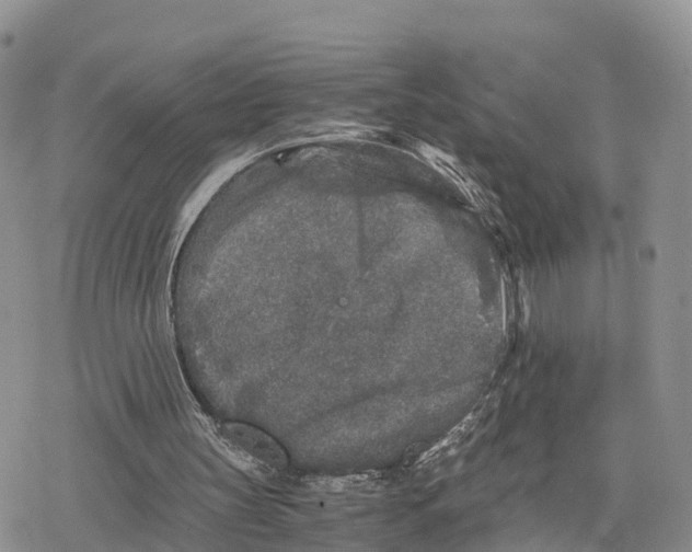 X0000078280147200611251427