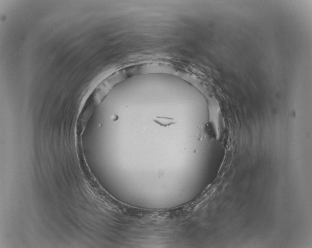 X0000078280148200611251427