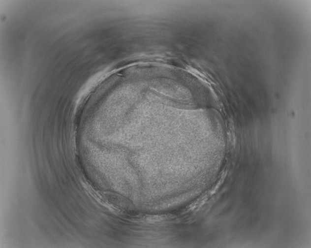 X0000078280149200611251427