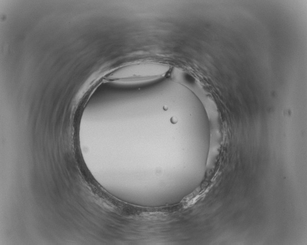 X0000078280150200611251427