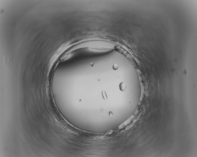 X0000078280152200611251427