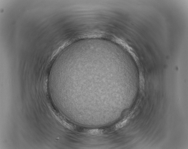 X0000078280153200611251427