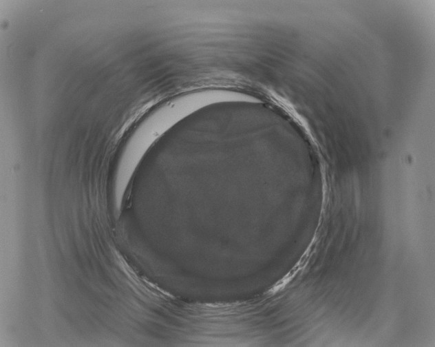 X0000078280154200611251427