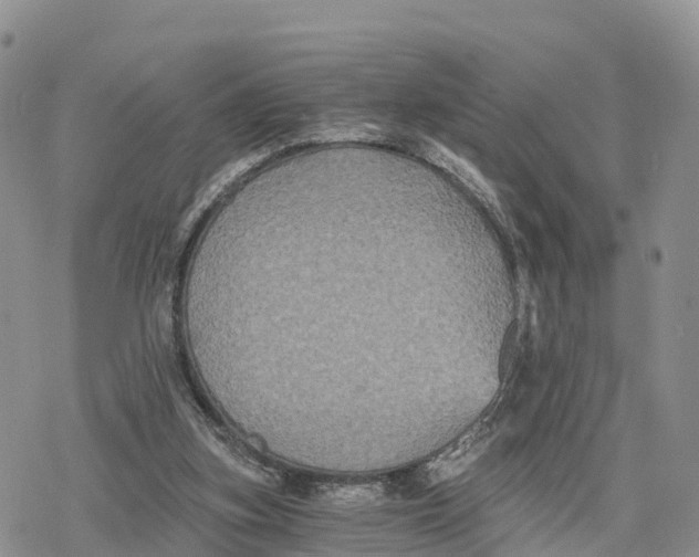 X0000078280155200611251427