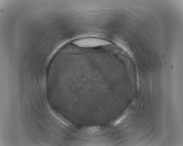 X0000078280156200611251427