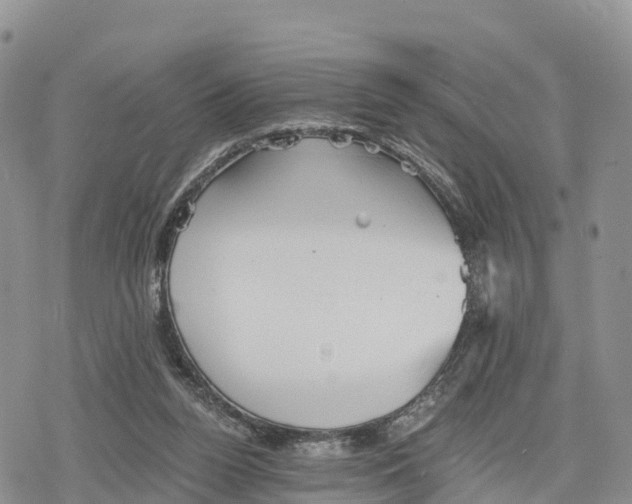 X0000078280160200611251427