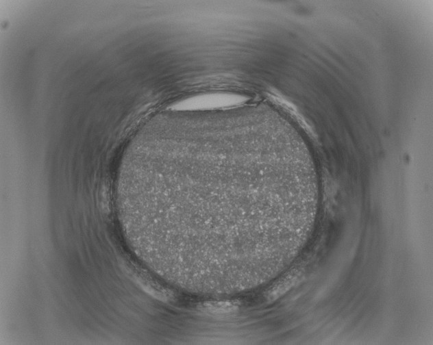 X0000078280161200611251427