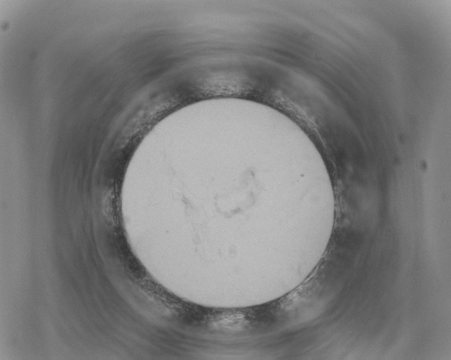 X0000078280162200611251427