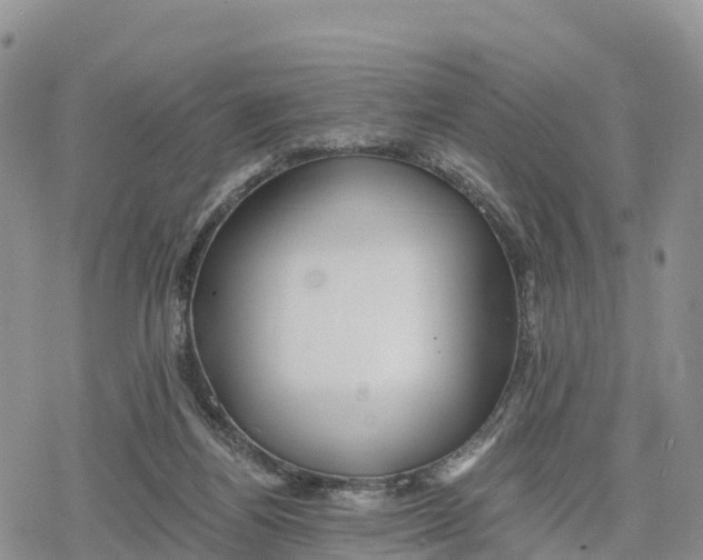 X0000078280164200611251427