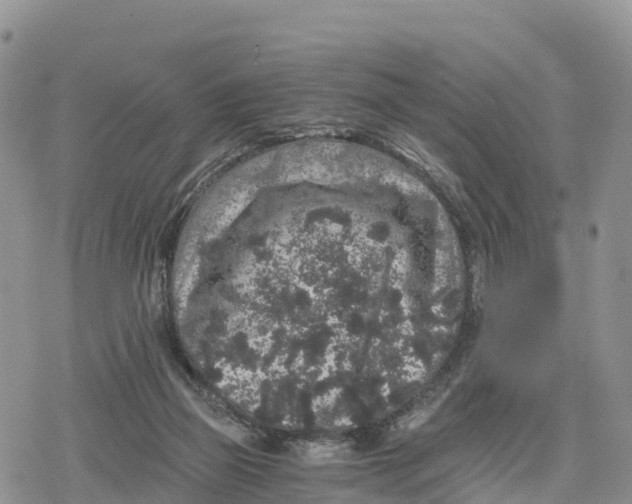 X0000078280165200611251427