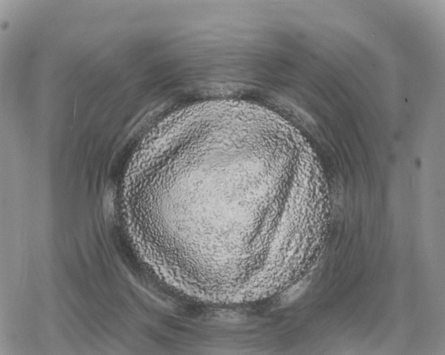 X0000078280166200611251427