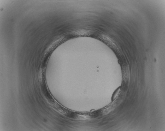 X0000078280167200611251427