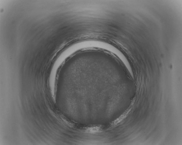 X0000078280168200611251427